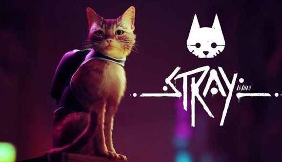 猫咪冒险《Stray》PC装备需求发布 7月19日正式出售