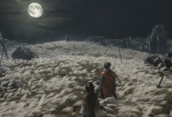 《只狼：影逝二度》日本东汉环境故事情节游戏秘籍